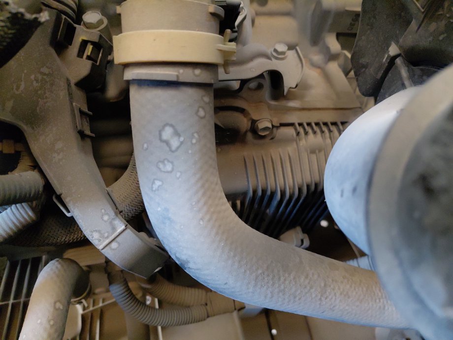 Toyota Corolla XLI  2022 image