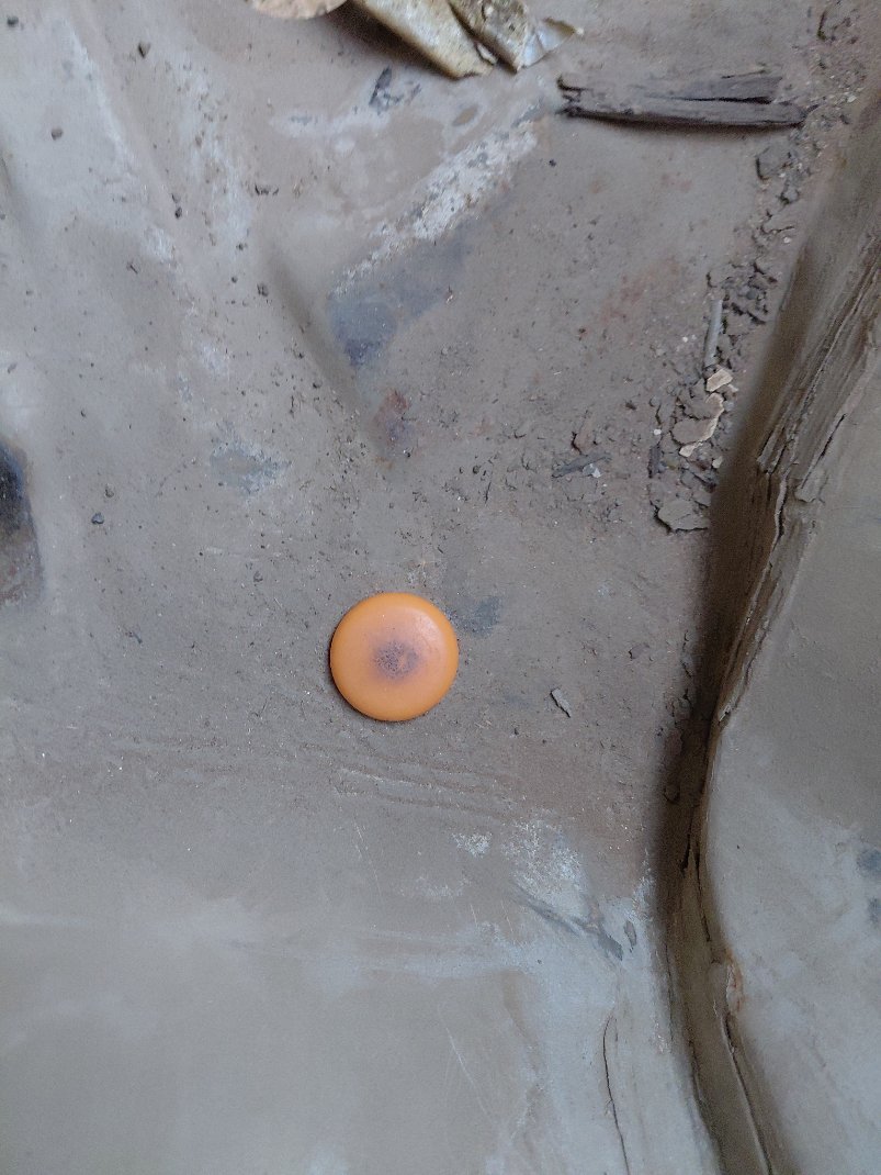 Toyota Corolla  2011 image