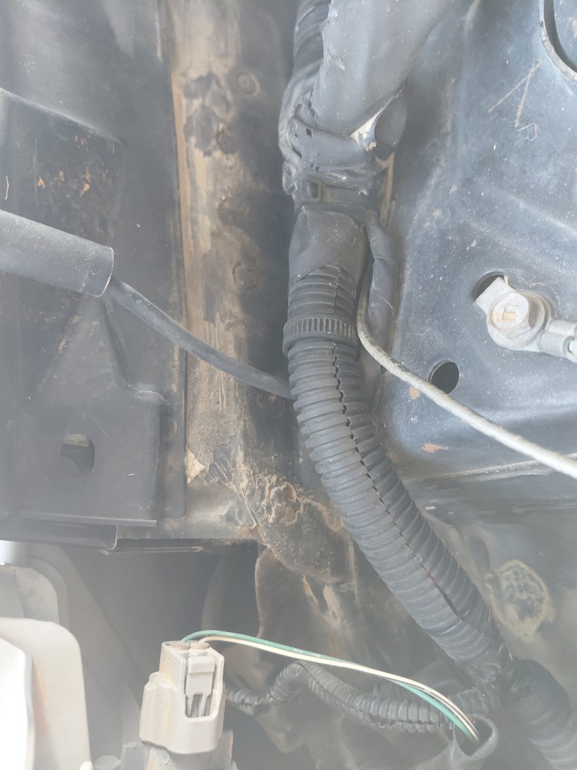 Daihatsu Terios  2008 image