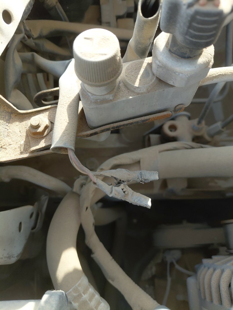 Toyota Corolla  2009 image