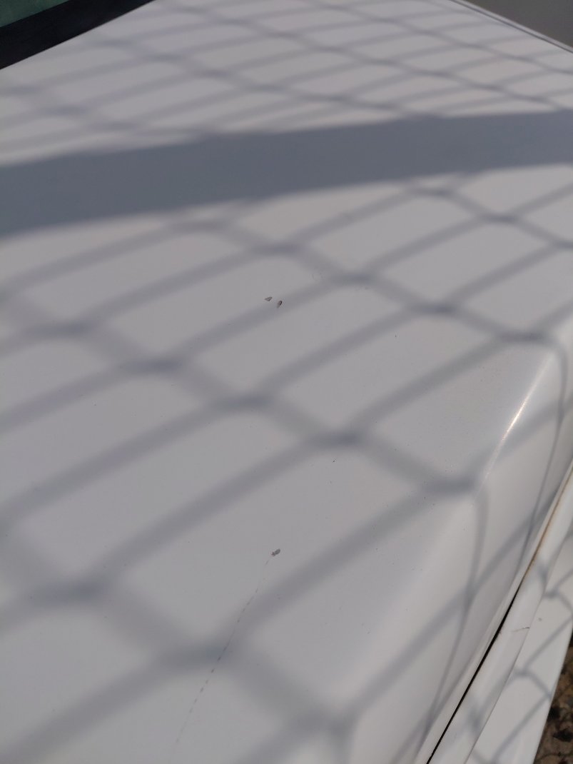 Toyota Corolla  2009 image