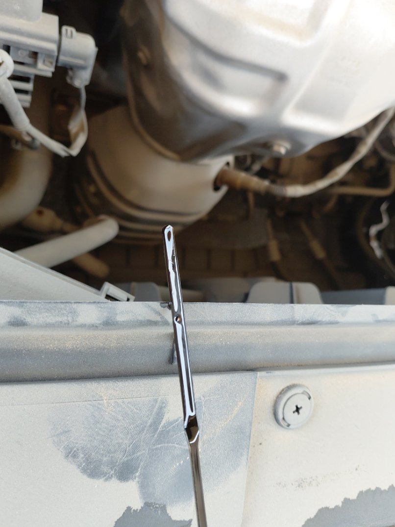 إم جي 5  2024 image