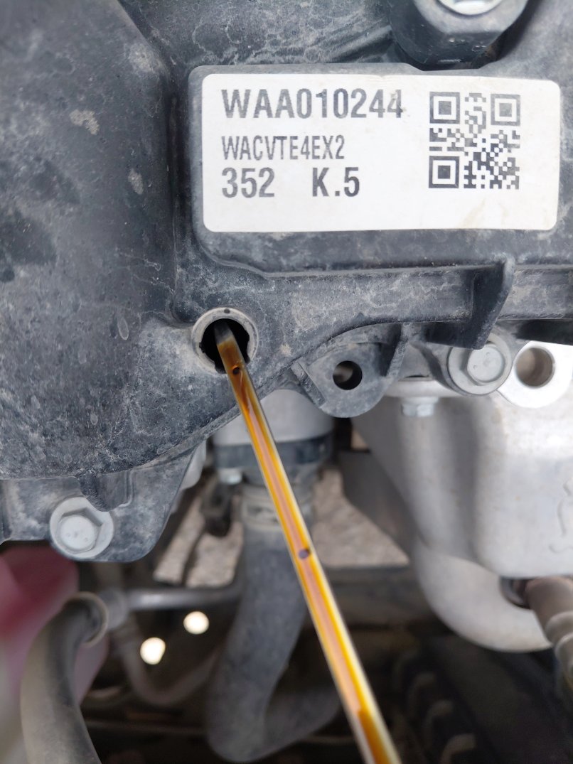 Toyota RAIZE XLE 2023 image