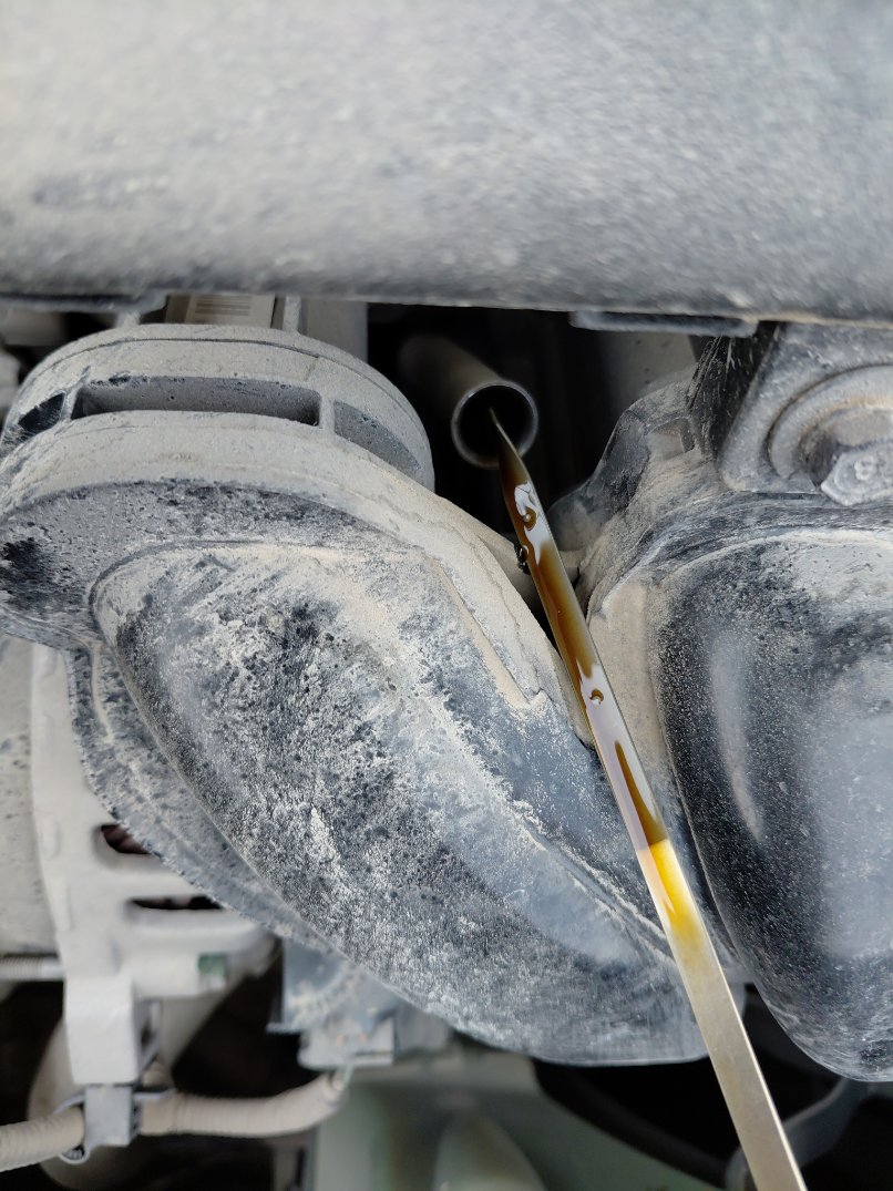 KIA Pegas L 2023 image