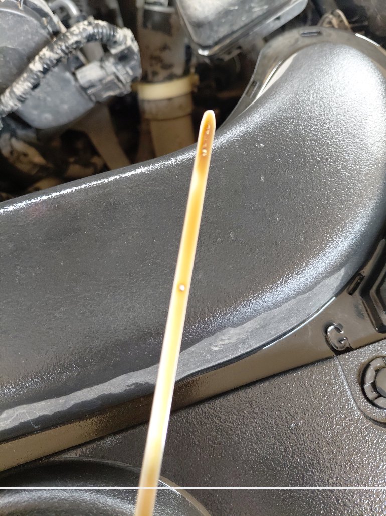 Toyota Corolla XLI   2023 image