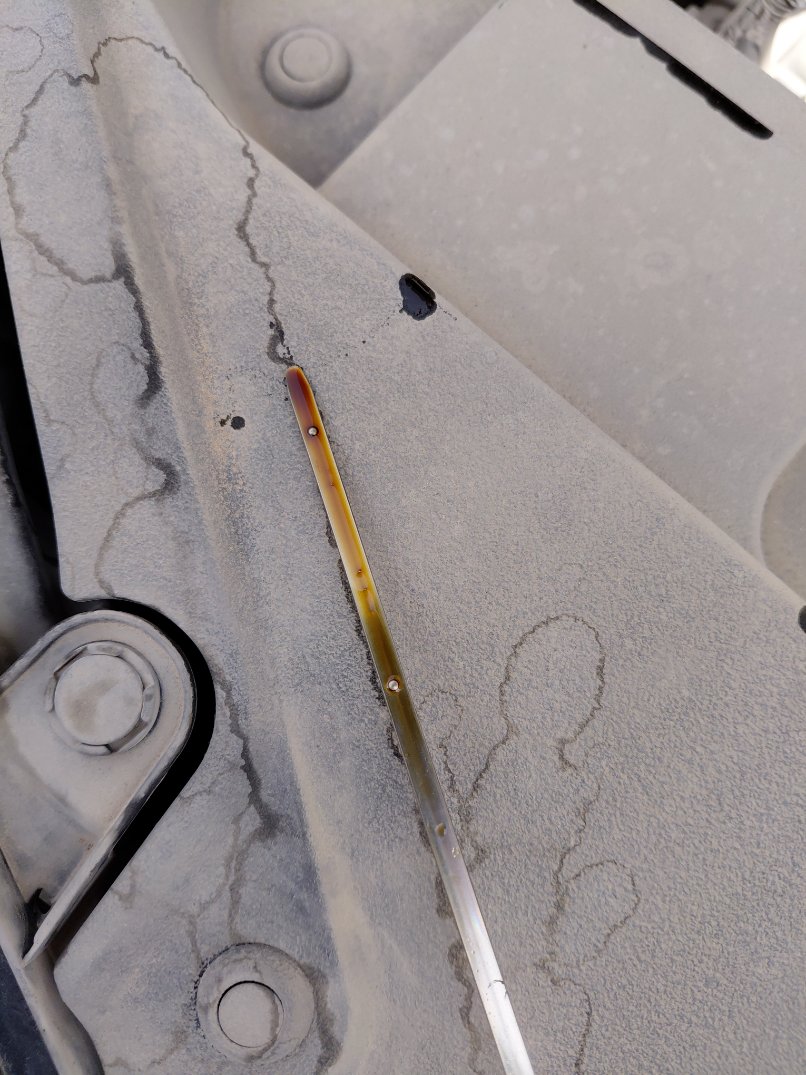 Toyota Yaris Y PLUS  2020 image