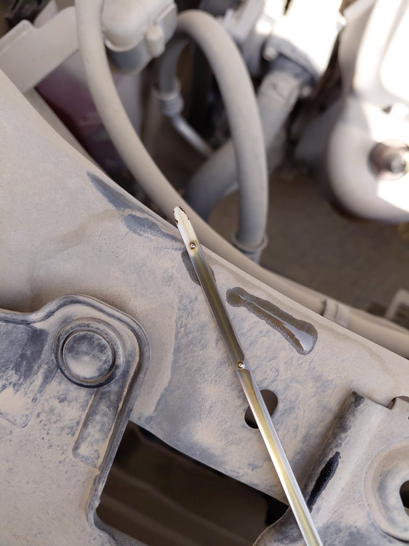 Toyota RAIZE XLE 2023 image