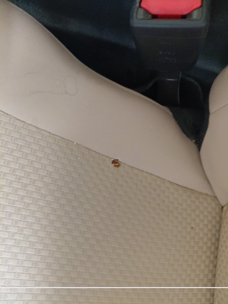 Toyota Yaris Y 2023 image