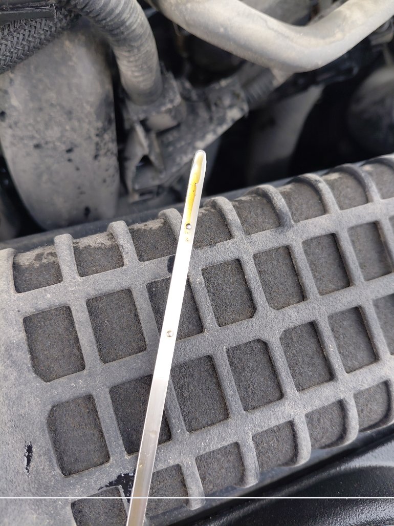 Toyota Corolla XLI 2024 image