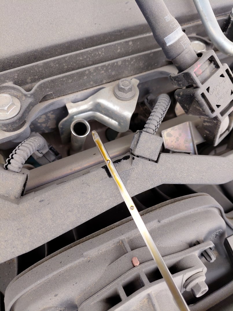 Toyota Corolla XLI EXE 2025 image