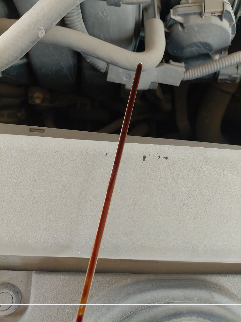 Toyota Corolla XLI EXECUTIVE 2021 image