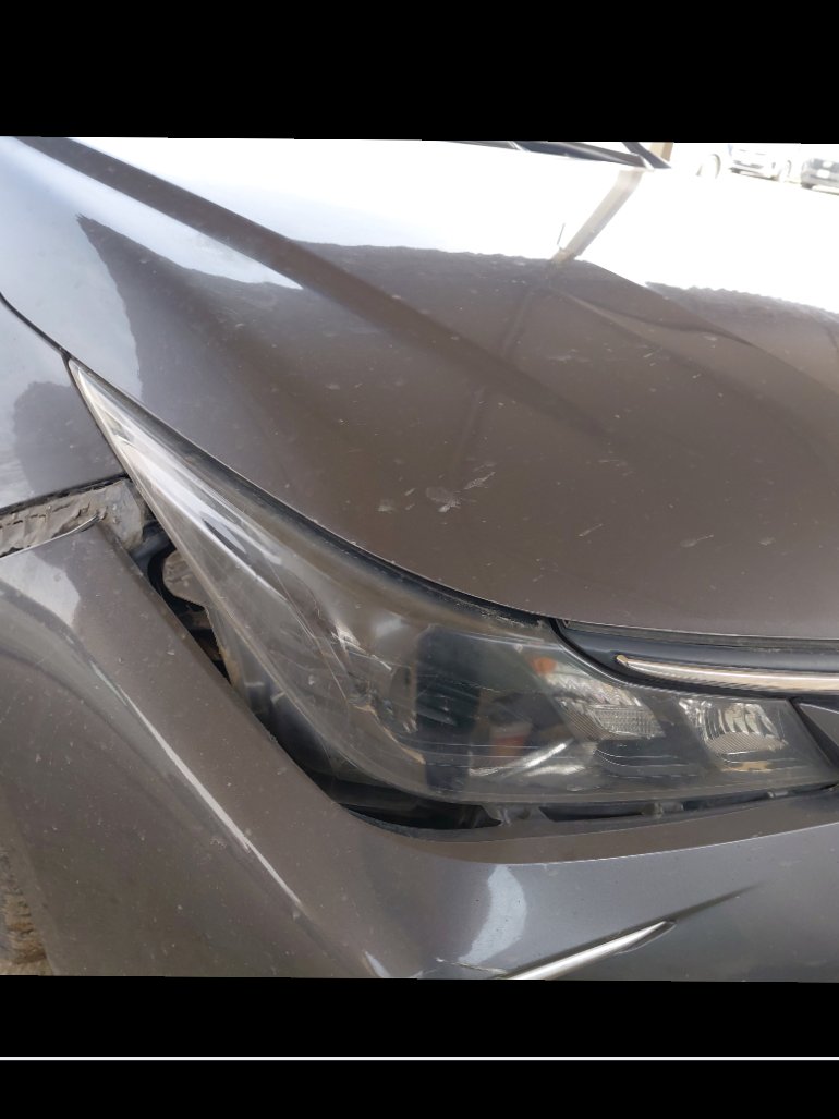 Toyota Corolla XLI EXECUTIVE 2021 image