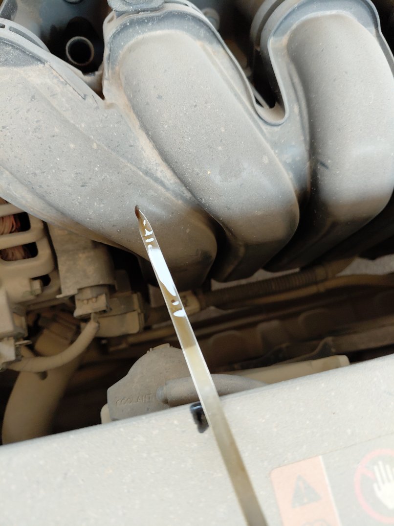 KIA Pegas FLEET 2021 image