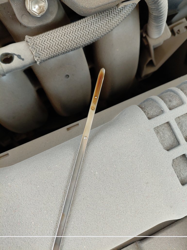 Toyota Corolla XLI EXE 2024 image