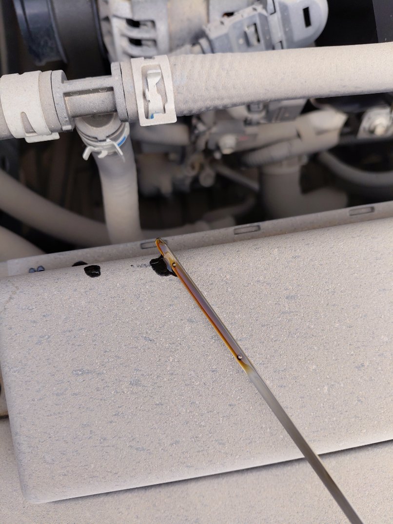 Toyota Corolla XLI 2023 image