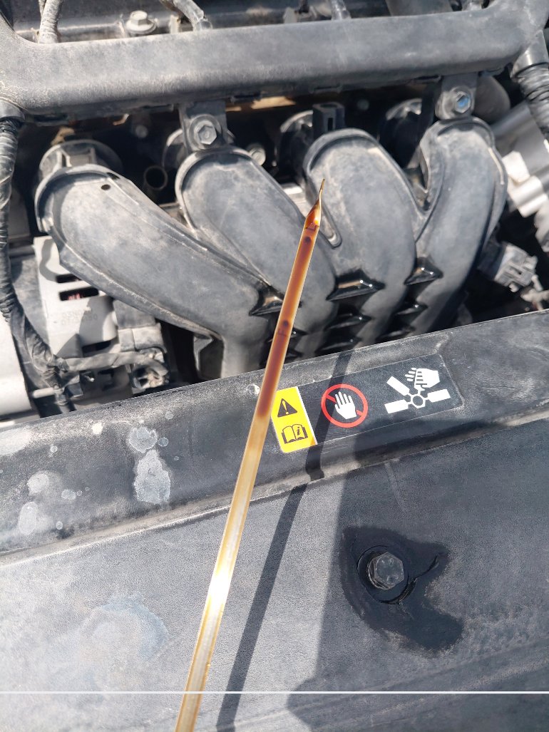 Hyundai Accent FLEET 2022 image