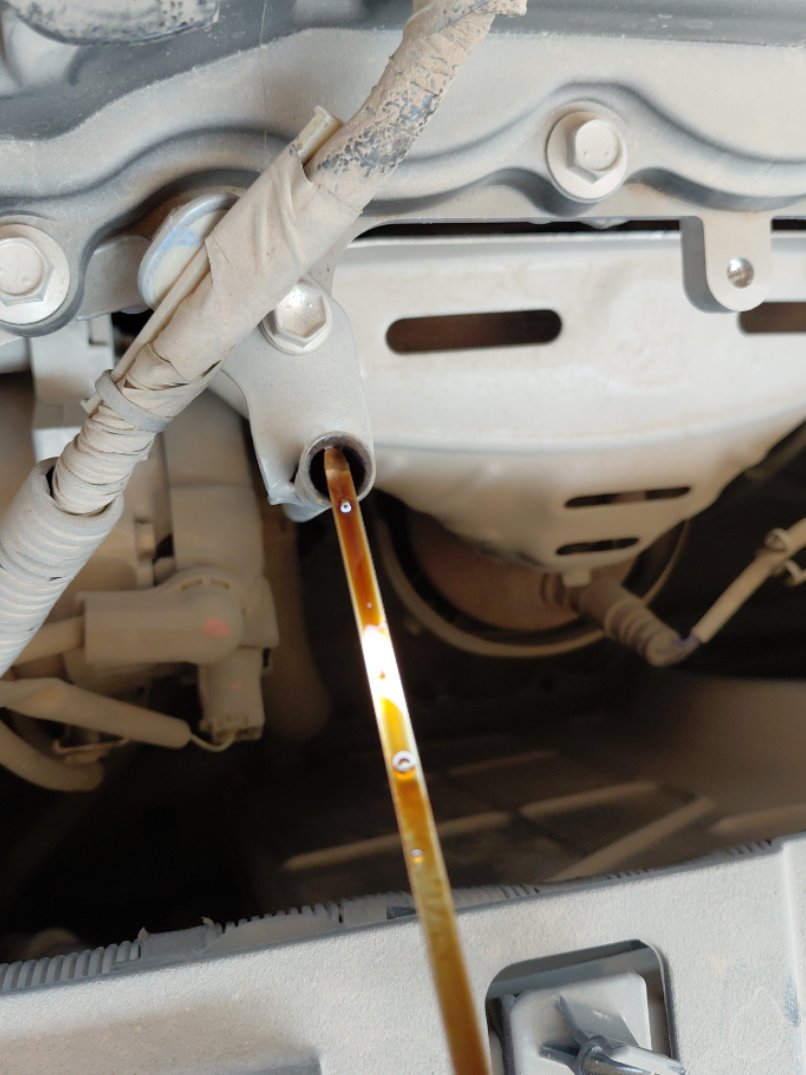 Toyota Yaris Y PLUS 2021 image