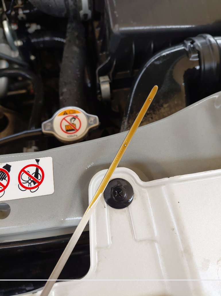 Toyota RAIZE LIMITED 2022 image