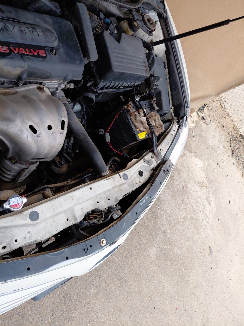 تويوتا كامري  2008 image