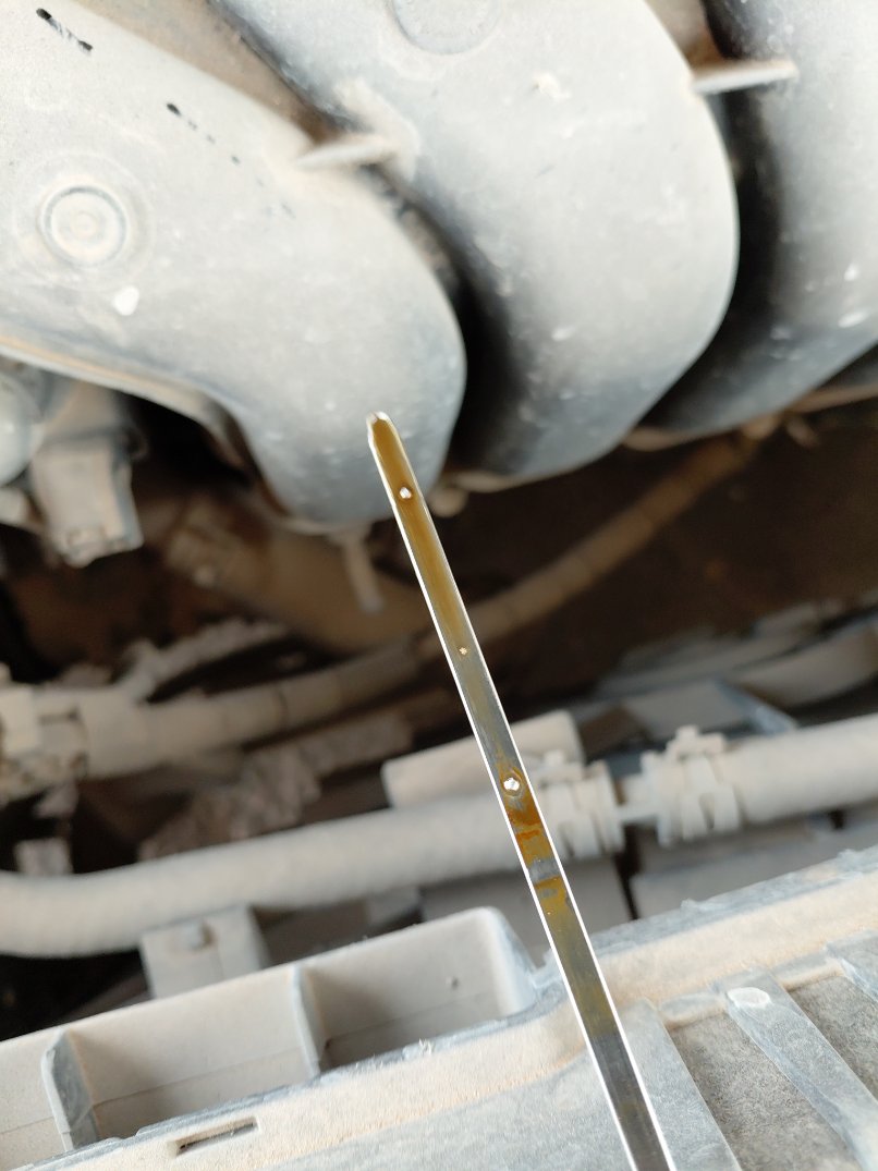 Toyota Corolla XLI  2020 image