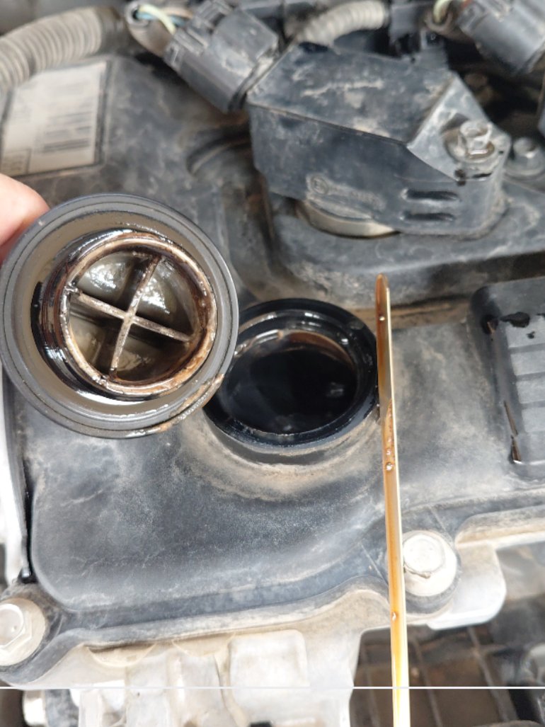 Toyota Corolla XLI EXECUTIVE M/R  2021 image