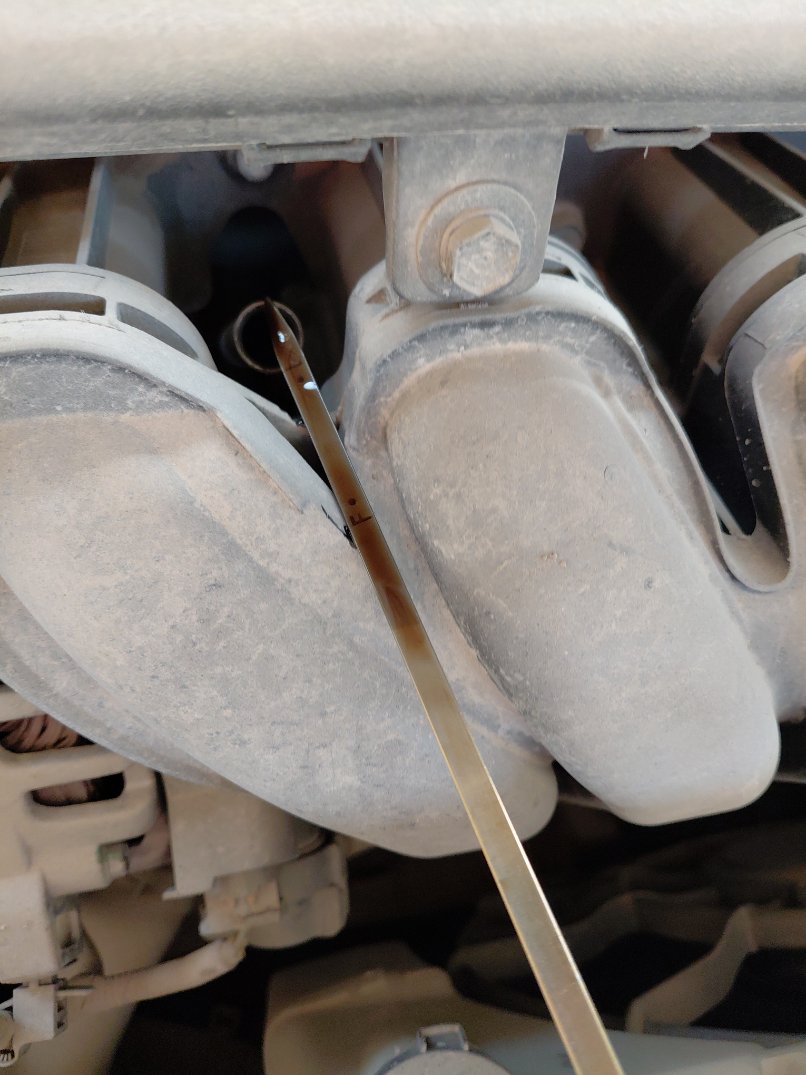 KIA Pegas IX  2023 image