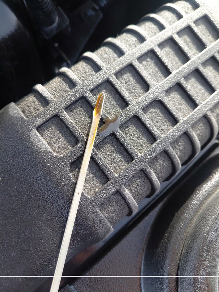 Toyota Corolla XLI 2024 image