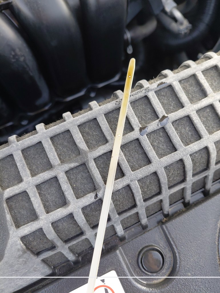 Toyota Corolla  XLI EXECUTIVE M/R  2020 image