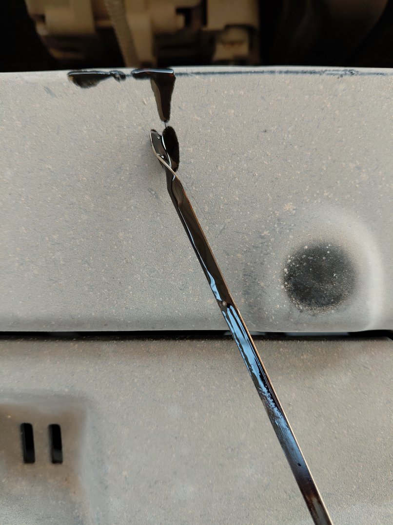 KIA Pegas IX  2020 image