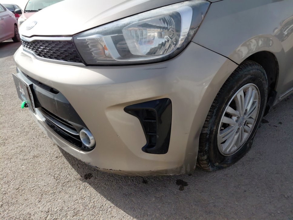KIA Pegas IX  2020 image