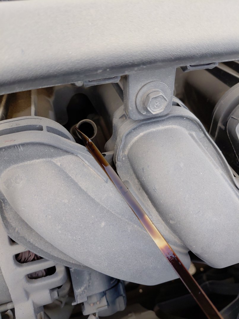 KIA Pegas FLEET 2022 image