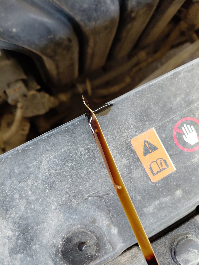 KIA Pegas LX  2020 image