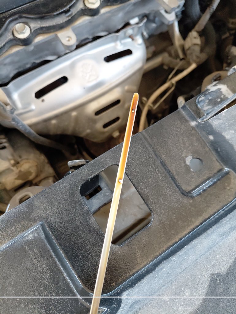 Toyota Yaris  Y FLT 2020 image