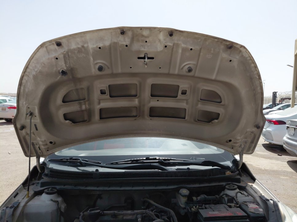 KIA Pegas LX  2020 image