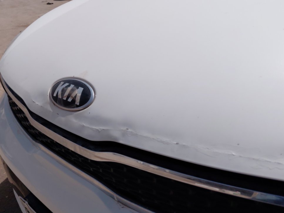 KIA Pegas LX  2020 image