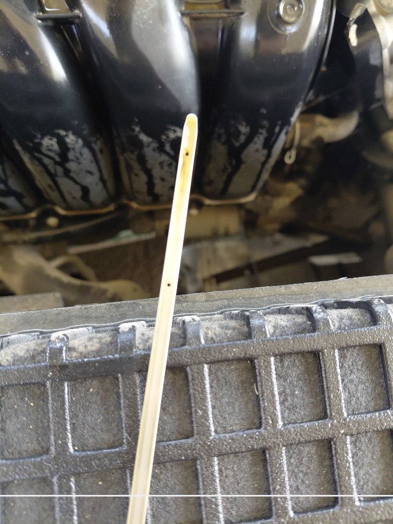 Toyota Corolla XLI  2020 image