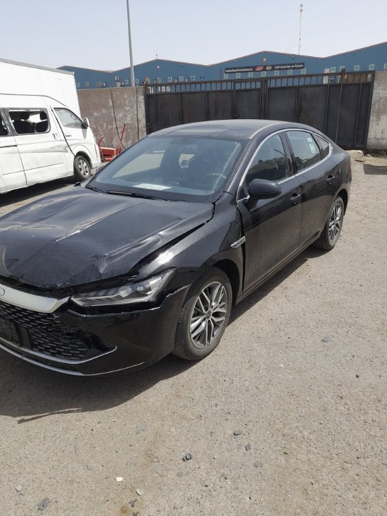بي واي دي Qin Plus ٠ 2024 image