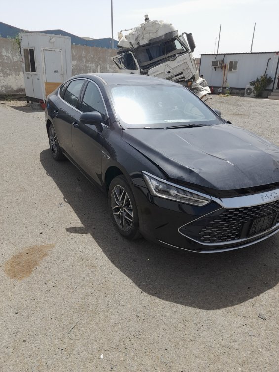 بي واي دي Qin Plus ٠ 2024 image