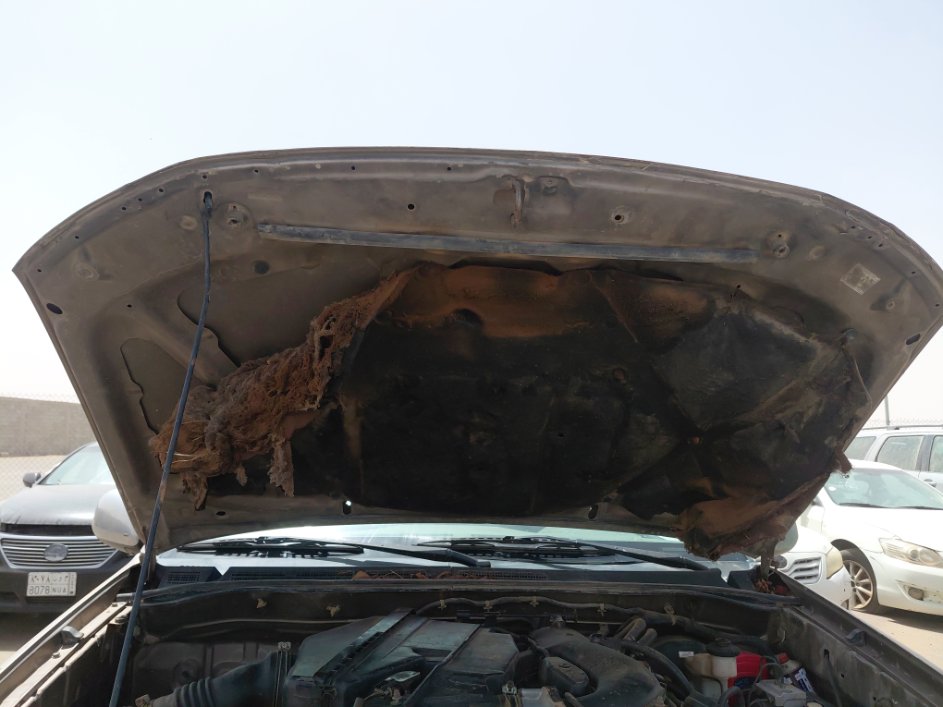 Toyota Fortuner  2006 image