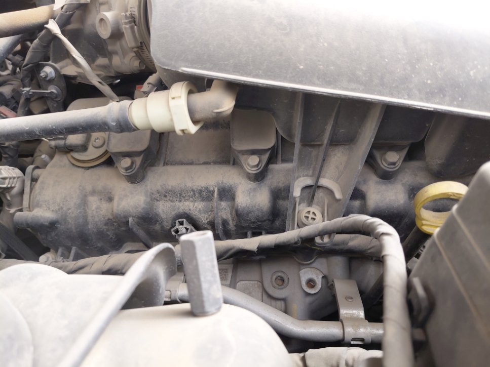 Dodge Charger  2020 image