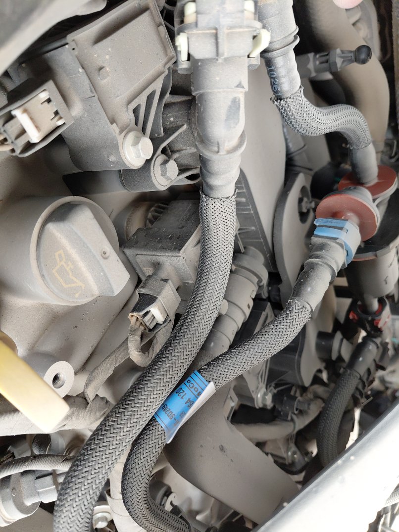 Ford Taurus  2025 image