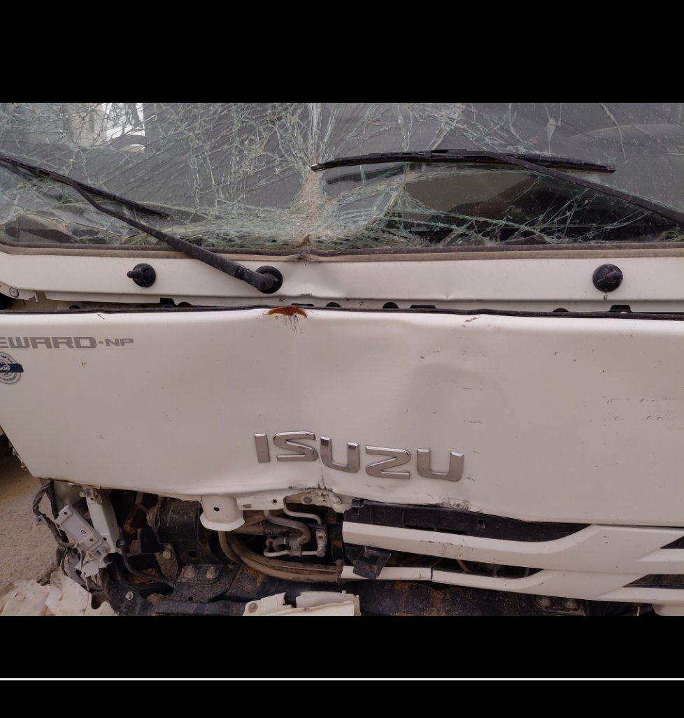 Isuzu Reward NP  2023 image