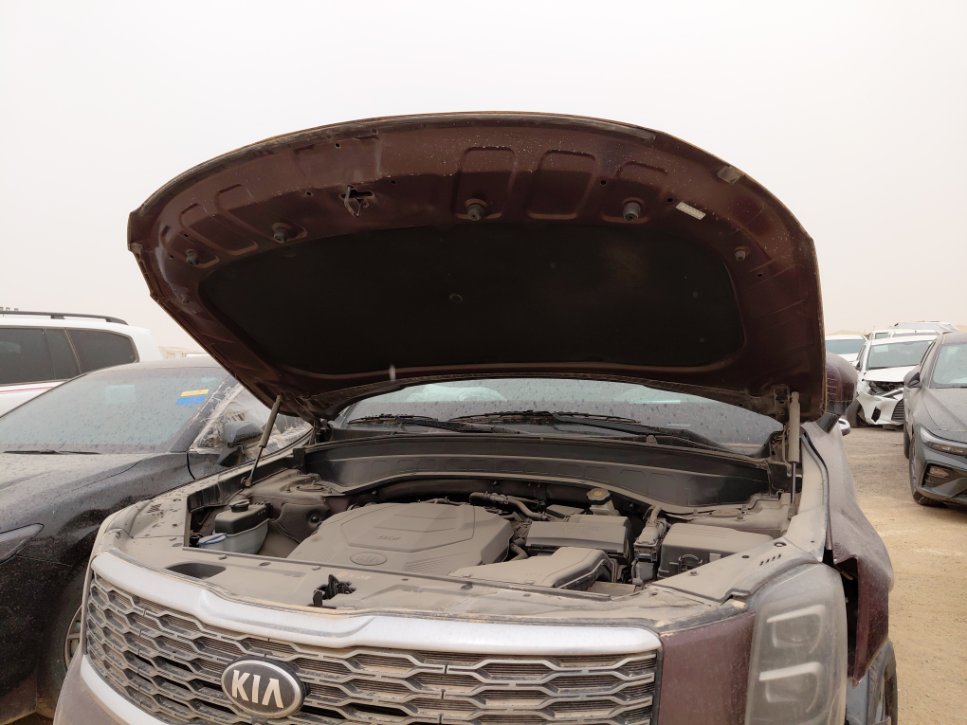 KIA Telluride  2020 image