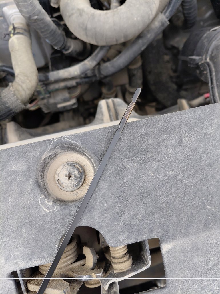 Changan Eado PLUS 2025 image