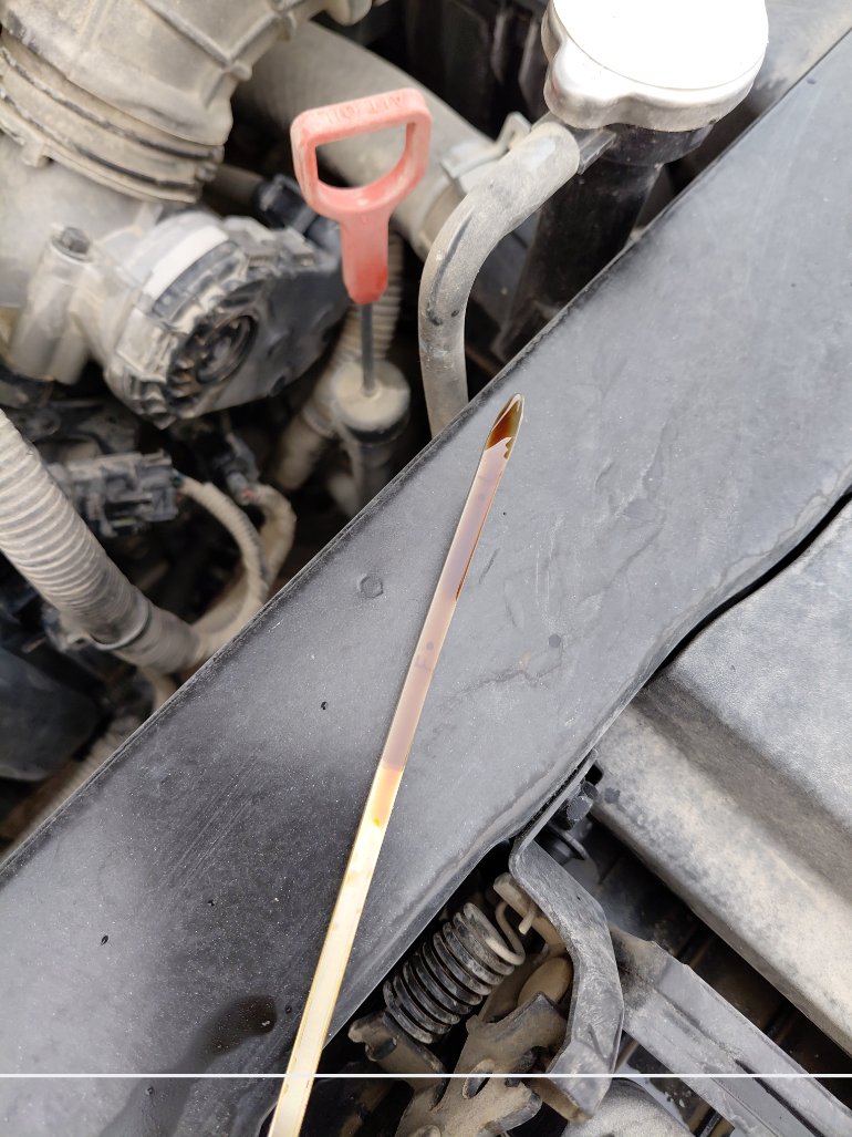 KIA Pegas GL 2024 image