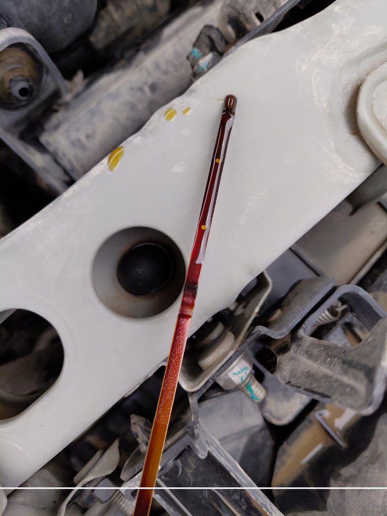 Nissan Sunny FLEET  2021 image