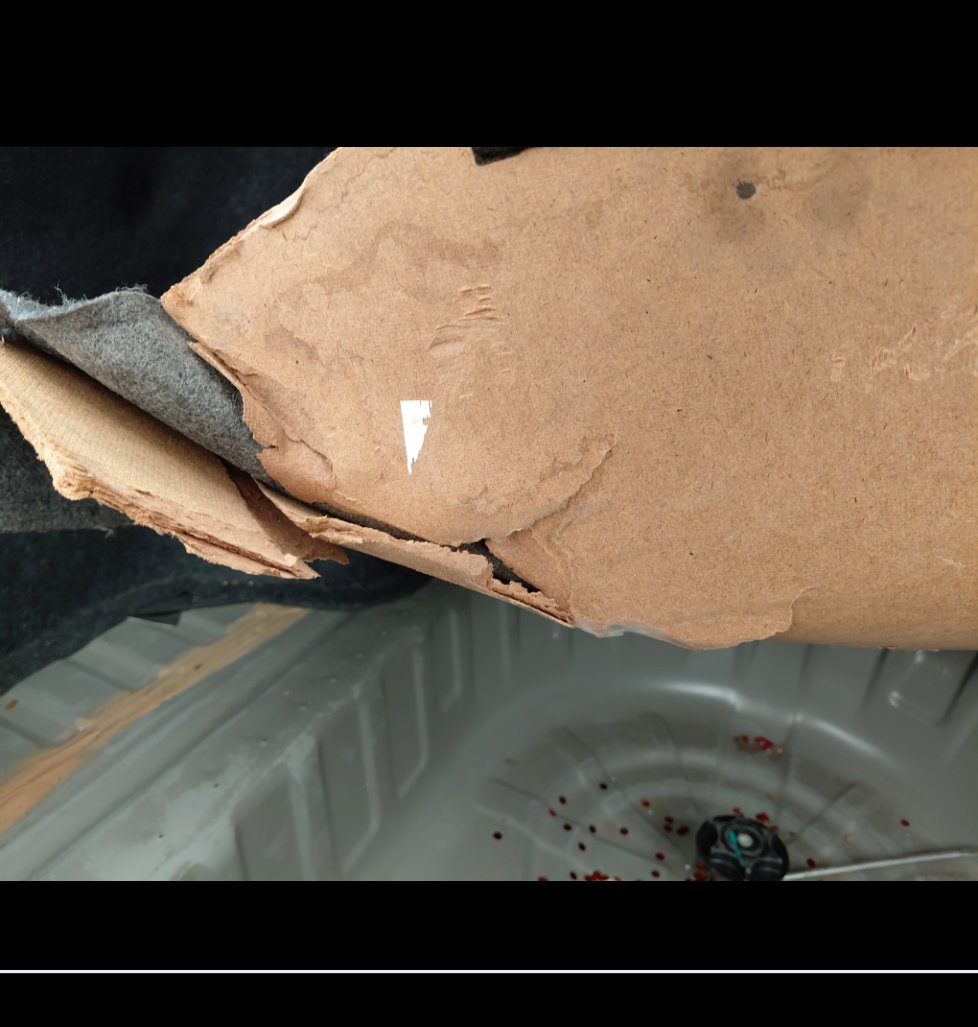 Nissan Sunny FLEET  2021 image