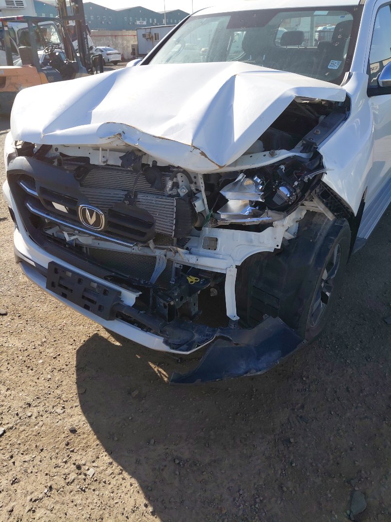 شانجان هنتر  2025 image