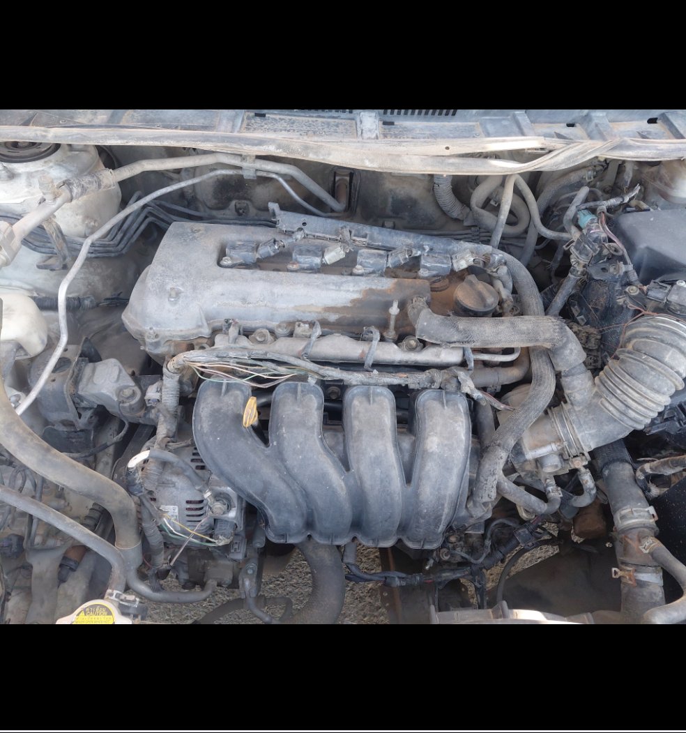 Toyota Corolla  2009 image