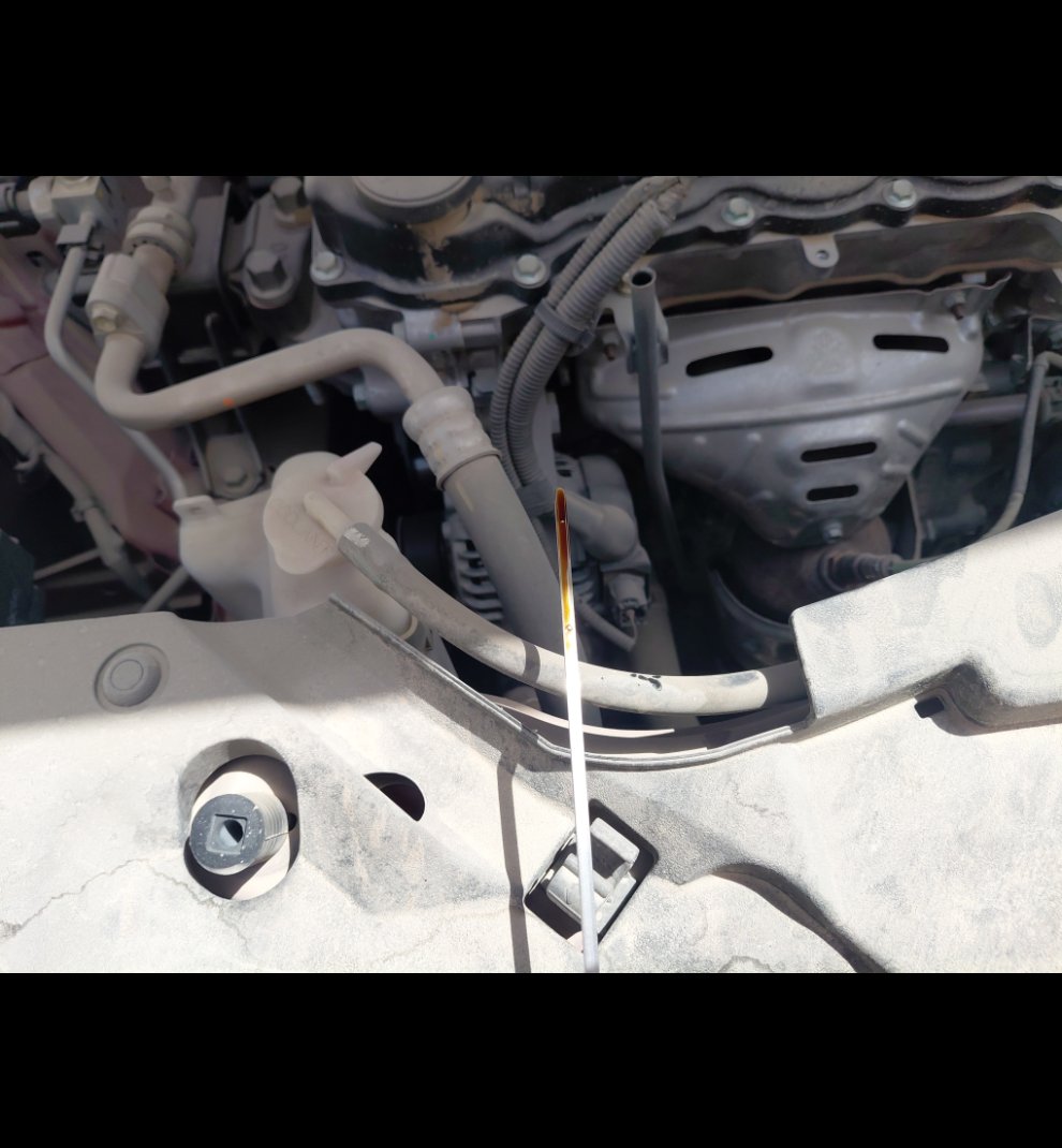 Toyota Yaris Y 2024 image